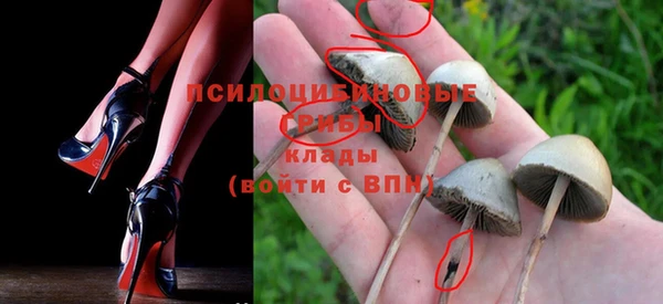 дмт Алексин