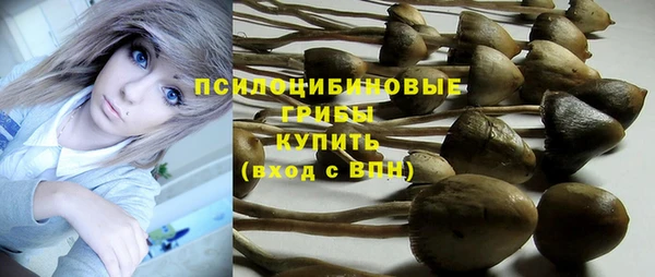 мескалин Алексеевка
