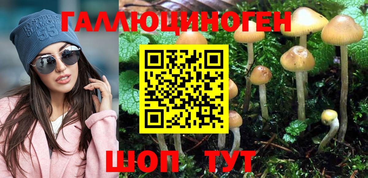 Псилоцибиновые грибы Psilocybe  Псилоцибиновые грибы мухоморы  Коряжма  Вход с VPN 