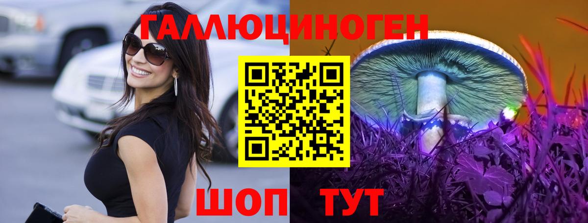 Псилоцибиновые грибы Cubensis Коряжма
